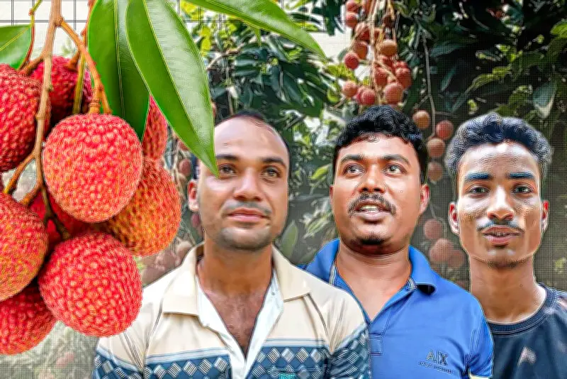 বাংলাদেশের নতুন শিক্ষানীতি অনুমোদন