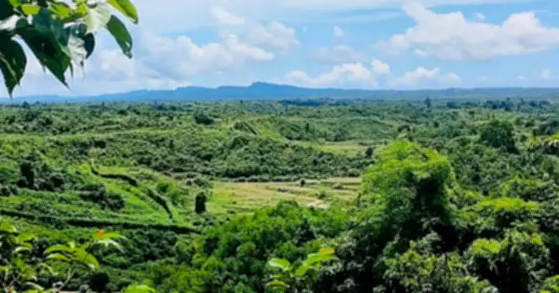 বান্দরবানে মাইন বিস্ফোরণে তিন বাংলাদেশি নিহত