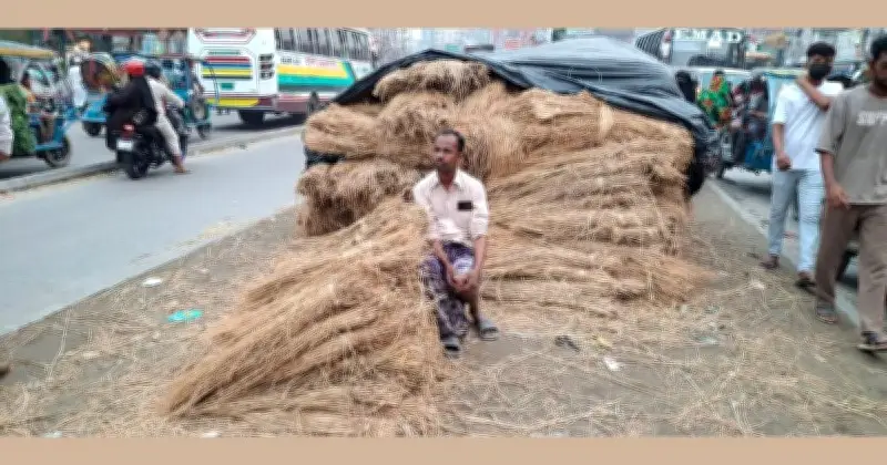 ঈদুল আজহায় রাজধানীর পশুর হাটে গো-খাদ্যের অস্থায়ী বাজার জমে উঠছে