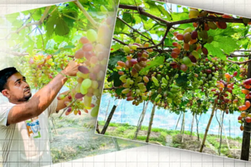 সচিবালয়ে আগুন: ফায়ার সার্ভিসের ১২ ইউনিট কাজ করছে