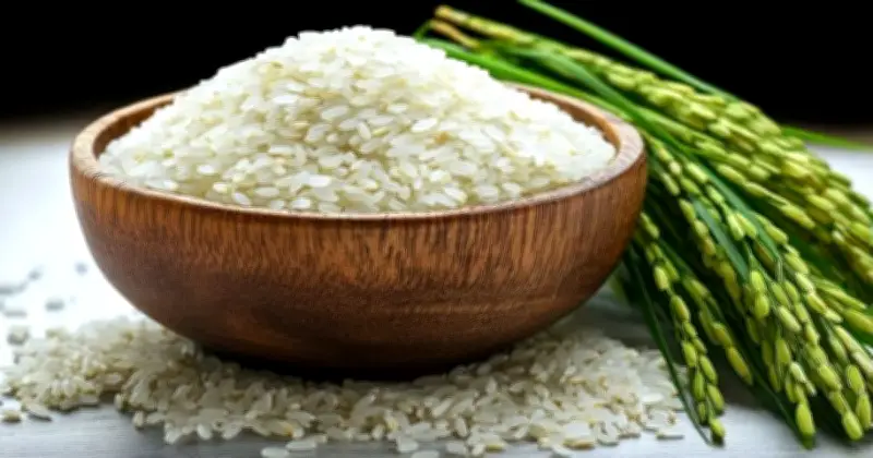 বাংলাদেশের ধান উৎপাদন: খাদ্য নিরাপত্তার উপর ক্রমবর্ধমান চাপ