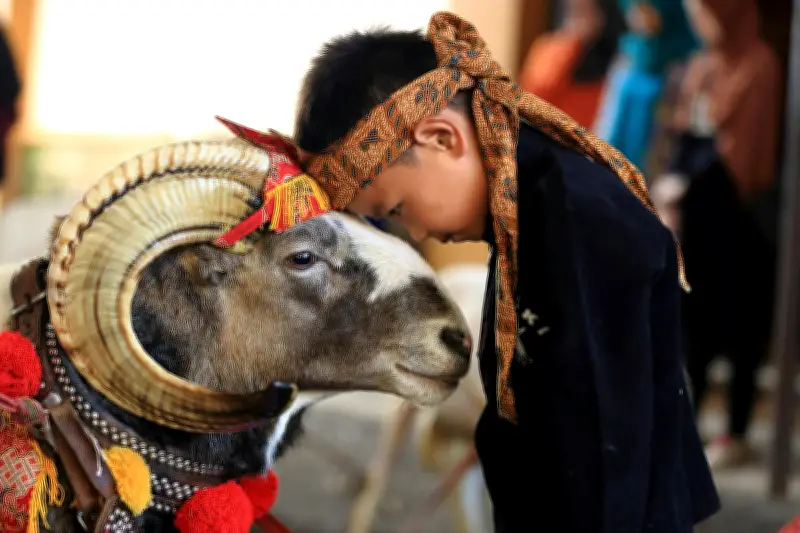 কোরবানির সওয়াব পাওয়ার দুটি আমল: চুল-নখ না কাটা ও জুমায় আগে যাওয়া