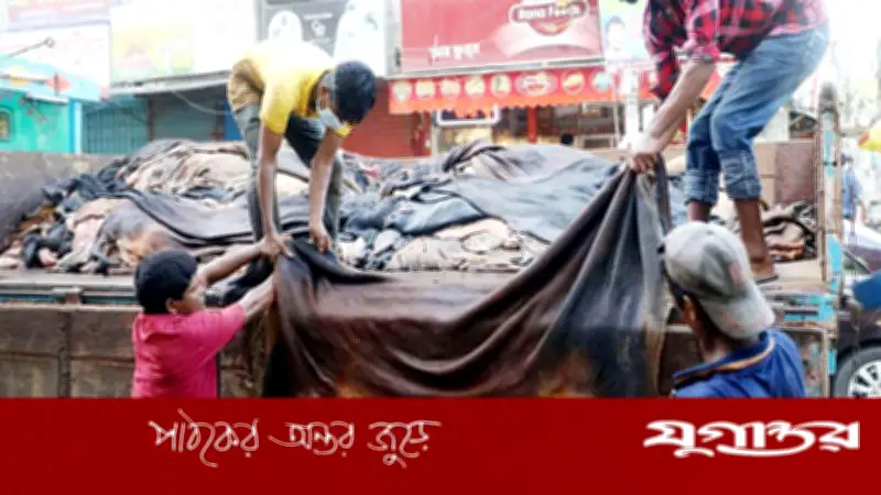 কুরবানির চামড়া নিয়ে বিপর্যয়ের আশঙ্কা, এতিম শিক্ষার্থীরা ক্ষতিগ্রস্ত