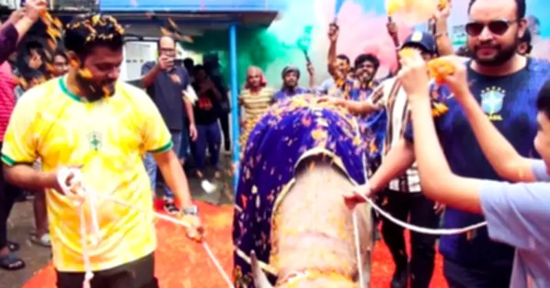 ভাইরাল মহিষ 'ডোনাল্ড ট্রাম্প'কে লাল গালিচা সংবর্ধনায় বিদায়
