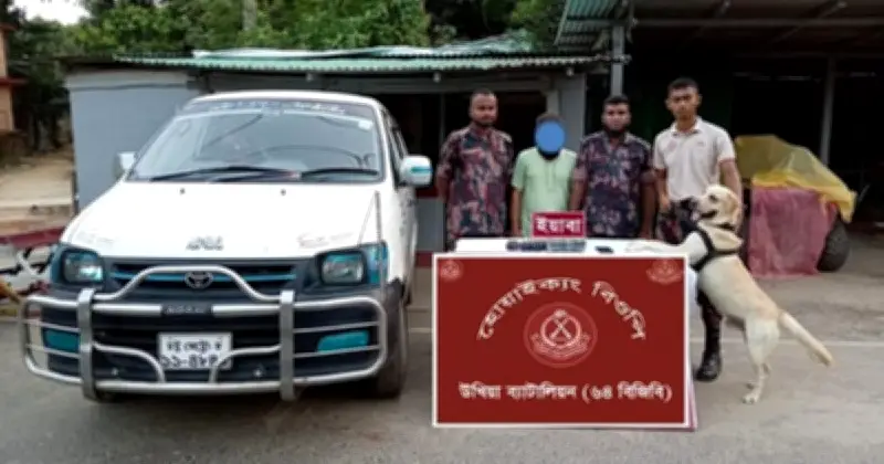 ভুয়া সাংবাদিকের ছদ্মবেশে ইয়াবা পাচার, টেকনাফে আটক ১