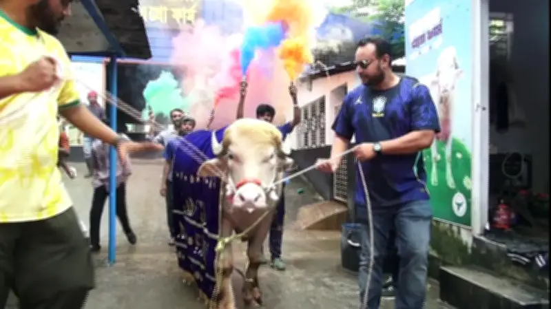 ভাইরাল মহিষ ‘ডোনাল্ড ট্রাম্প’কে লালগালিচায় বিদায় জানাল খামার কর্তৃপক্ষ