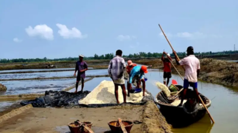 কক্সবাজারে লবণ উৎপাদন কমেছে, খরচ বেড়ে লোকসানে চাষিরা