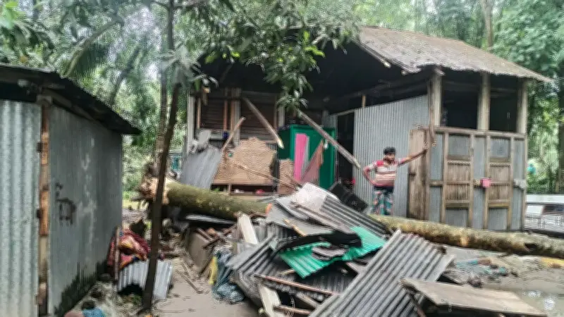 চাঁদপুরে ঝড়বৃষ্টির সময় গাছ ভেঙে পড়ে স্কুলছাত্র নিহত