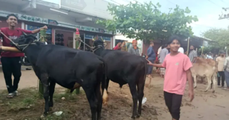 ঈদযাত্রায় চট্টগ্রাম-কাপ্তাই সড়কে ভয়াবহ যানজট, দুর্ভোগে লাখো মানুষ