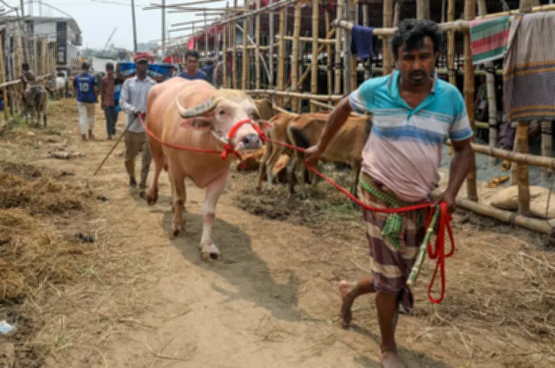 ঈদের শেষ মুহূর্তে রাজধানীর পশুর হাটে জমজমাট বেচাকেনা