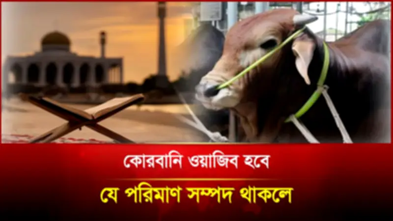 লেবাননে ইসরায়েলি হামলায় নিহত ৩১, বাংলাদেশি নারী নিম্নির এভারেস্ট জয়, সড়ক দুর্ঘটনায় ১২ নিহত