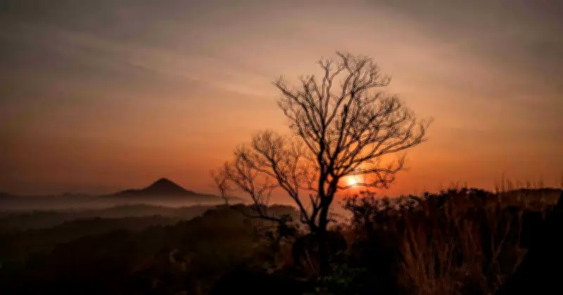 ভাজাকুলাম: ভারতের মিষ্টি আনারস রাজধানী