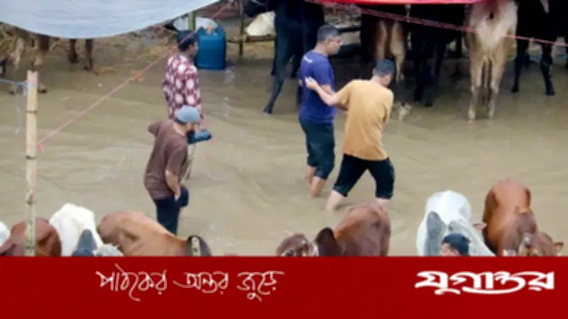 সেনাবাহিনীর হস্তক্ষেপে রাজধানীর বাজার স্থিতিশীল