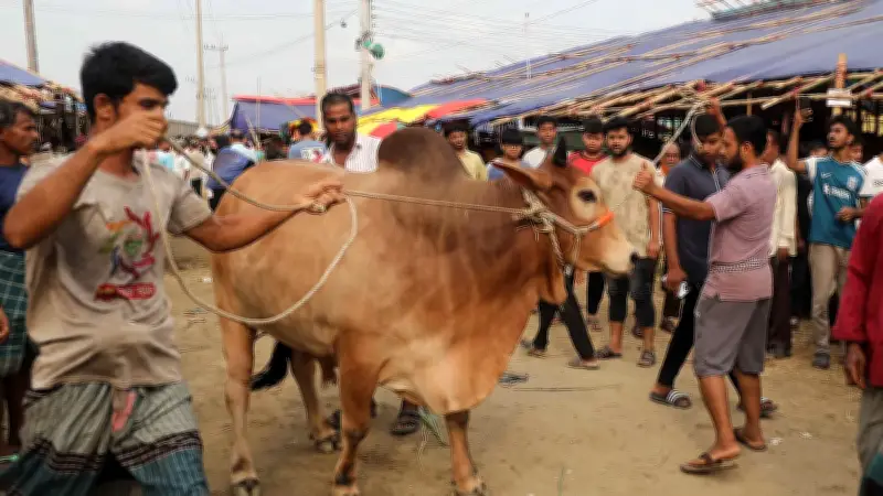 চট্টগ্রামে কোরবানির হাটে দেড় হাজার কোটি টাকার পশু বেচাকেনা