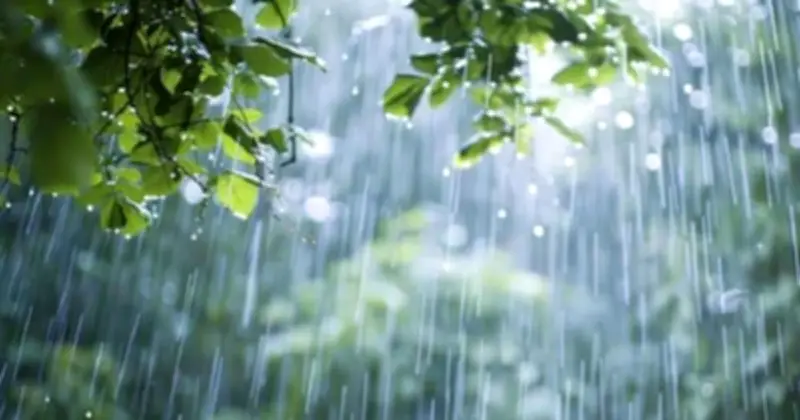ঈদুল আজহায় দেশজুড়ে বৃষ্টি ও ঝোড়ো হাওয়ার পূর্বাভাস