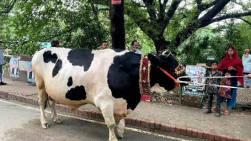 ঢাকায় আন্তর্জাতিক বইমেলায় দর্শনার্থীদের ভিড়