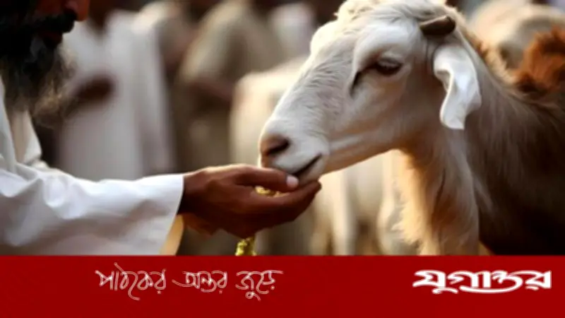 জীবনের গতি কমিয়ে আধ্যাত্মিকতার সন্ধান