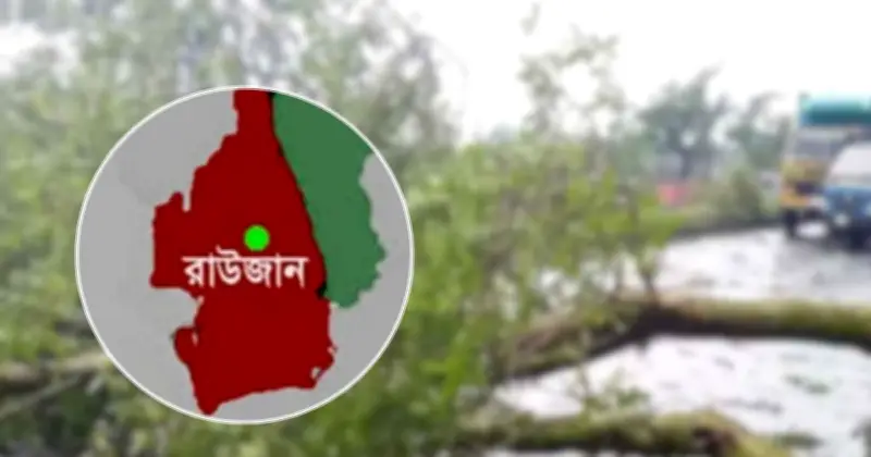 রাউজানে কালবৈশাখী ঝড়ে গাছচাপায় অটোরিকশাচালকের মৃত্যু