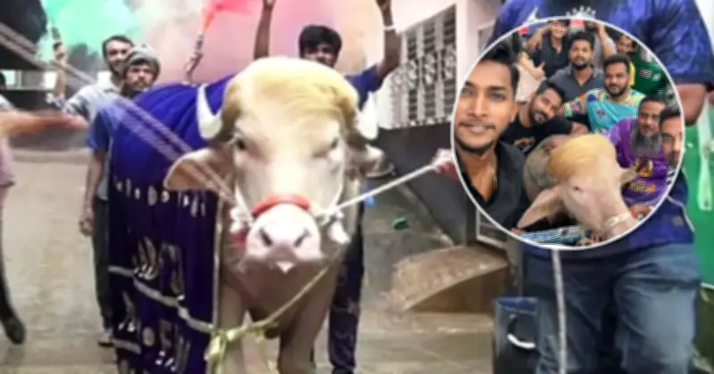 অ্যালবিনো মহিষ ‘ডোনাল্ড ট্রাম্প’ কেরানীগঞ্জ থেকে চিড়িয়াখানায়