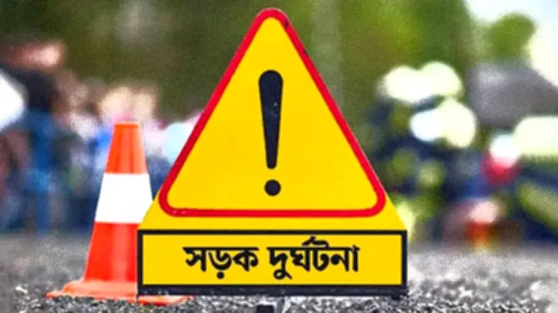 পৃথক সড়ক দুর্ঘটনায় নিহত ৩; মেট্রো স্টেশনে পশু: প্রতিমন্ত্রী