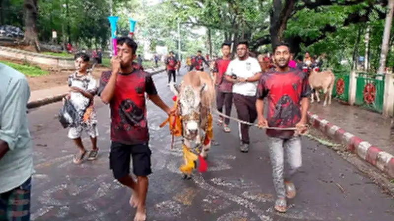 ভিডিওতে বাংলাদেশের নতুন দিগন্ত: প্রযুক্তির অগ্রযাত্রা