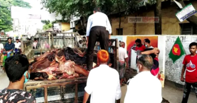 কোরবানির চামড়া সংরক্ষণ ও পরিবহনে নির্দেশনা জারি