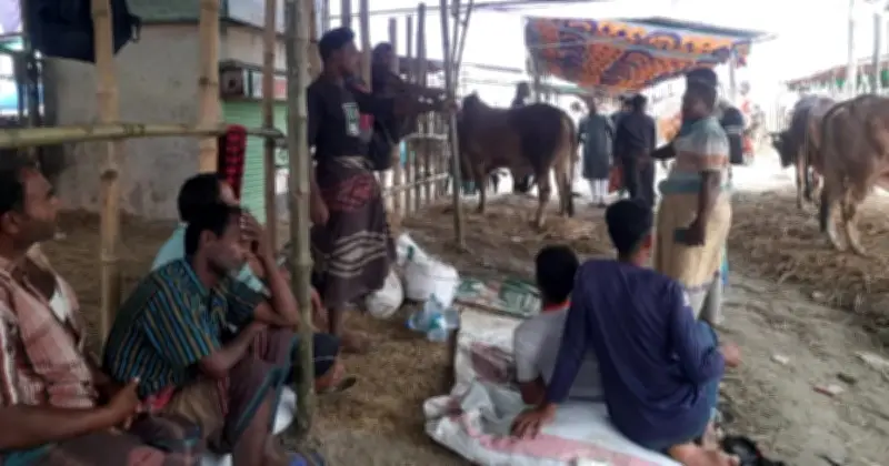 গাবতলীর হাটে গরুর দামে ধস, খামারিদের লোকসান