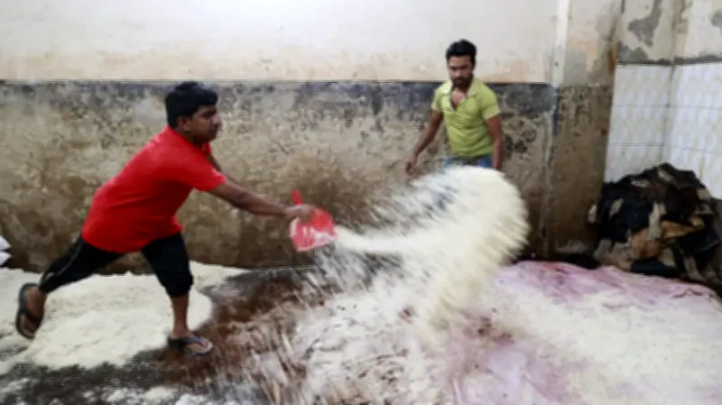 বৃষ্টিভেজা লিলি থেকে হস্তিশাবক উদ্ধার: ছবিতে বাংলাদেশের নানা খবর