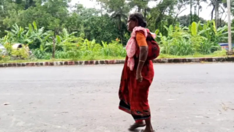 ভবঘুরে শিল্পী লাইলী বেগম: গানই তাঁর জীবন ও আত্মার খোরাক