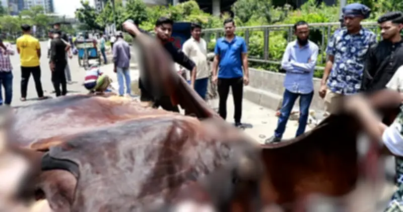 ১২ ঘণ্টার আগেই কোরবানির বর্জ্য অপসারণের ঘোষণা ডিএনসিসির