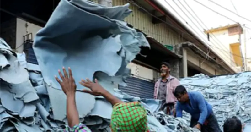 লালবাগের পোস্তায় জমে উঠেছে কোরবানির চামড়ার বাজার, দামে হতাশা