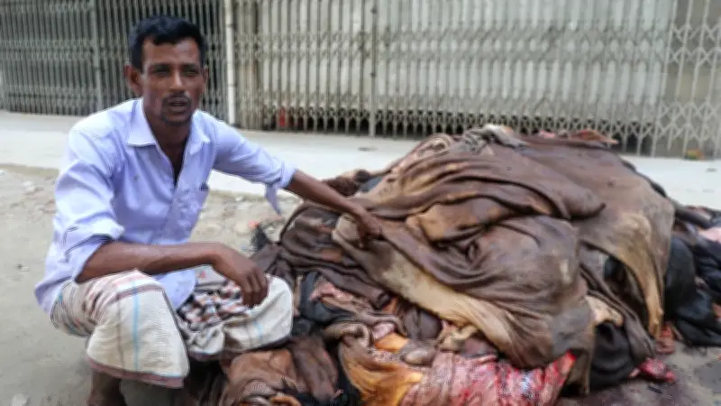 লোকসানের শঙ্কায় কোরবানির চামড়া ব্যবসায়ীরা, দামে হতাশা