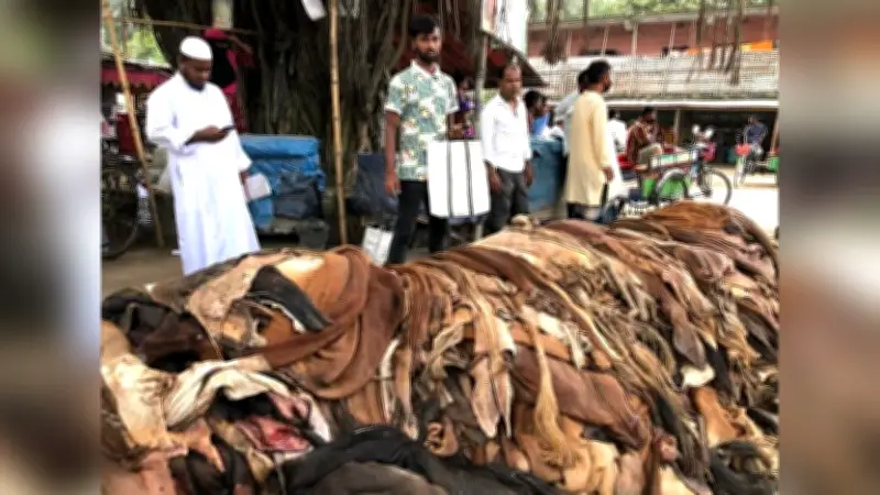 চামড়া সংগ্রহে দামে অসন্তুষ্ট ব্যবসায়ীরা; বিশ্ববাজারে স্বর্ণের দামে পতন