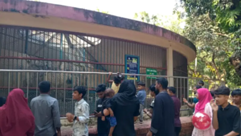 ঈদুল আজহায় জাতীয় চিড়িয়াখানায় দর্শনার্থীদের ভিড় কম, বাঘ দেখে শিশুদের উচ্ছ্বাস