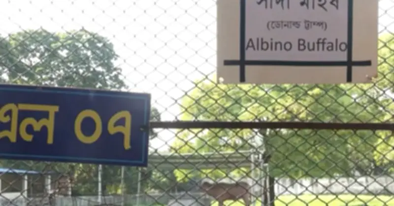 চিড়িয়াখানায় ‘ডোনাল্ড ট্টাম্প’: নামফলকে বানান ভুল নিয়ে হাস্যরস