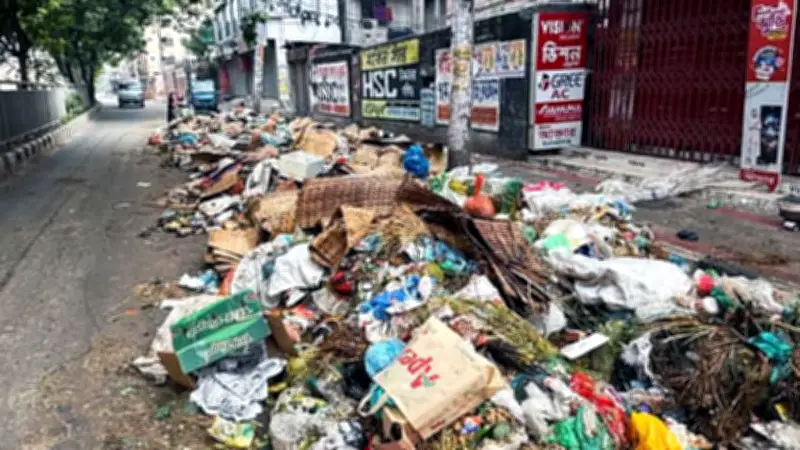 রাজধানীতে কোরবানির বর্জ্যের স্তূপ, ট্রাক সংকটে ধীরগতি