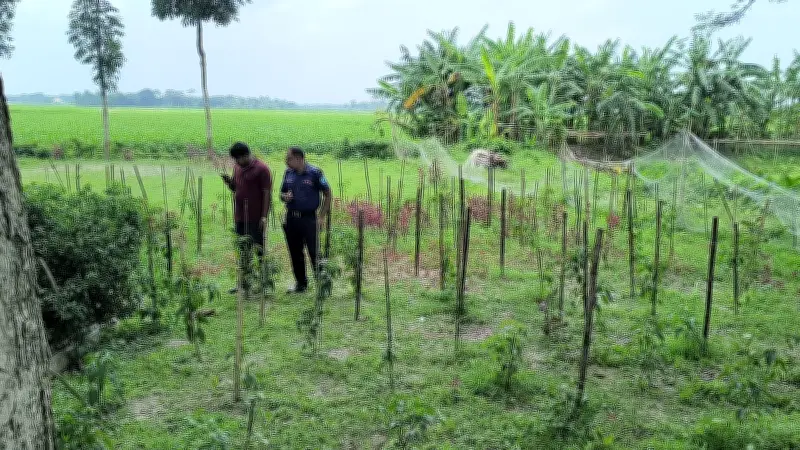 শরীয়তপুরে ককটেল বিস্ফোরণে শিশুর হাতের কবজি উড়ে গেছে