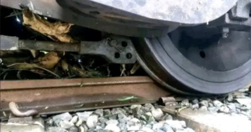 লাউয়াছড়ায় তেলবাহী ট্রেন লাইনচ্যুত, রেল যোগাযোগ বন্ধ
