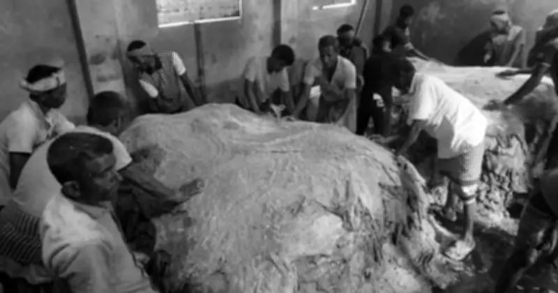 ঈদের দ্বিতীয় দিনে চামড়ার বাজারে স্বস্তি, দাম বেড়েছে ১০০ টাকা