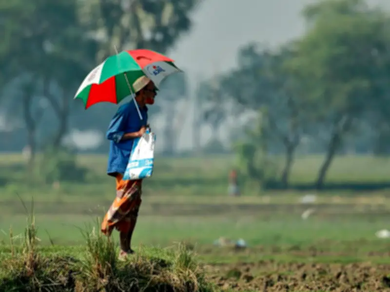 বৃষ্টি আল্লাহর রহমত, দোয়া কবুলের বিশেষ সময়