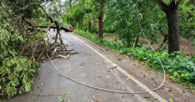 সাতক্ষীরায় কালবৈশাখীর তাণ্ডবে বিদ্যুৎহীন ২০ হাজার গ্রাহক, শিশুর মৃত্যু