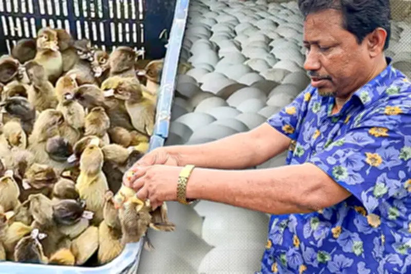 প্রথম আলোতে বাংলাদেশের ভিডিও প্রতিবেদন