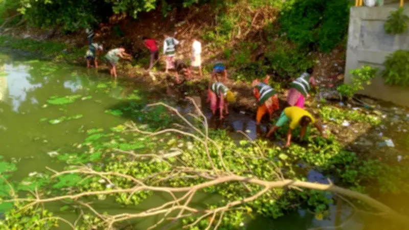 হাতিরঝিল লেকে পরিচ্ছন্নতা অভিযান শুরু রাজউকের