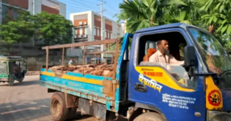 সাভার ট্যানারিতে পাঁচ লাখের বেশি কোরবানির চামড়া