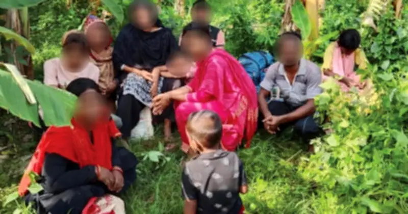 দর্শনা সীমান্তে বিএসএফের পুশইন, ১০ বাংলাদেশি আটক