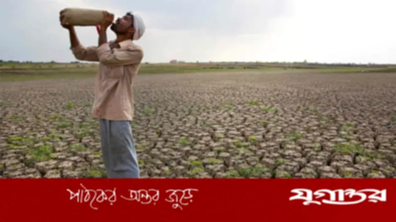 সুপার এল নিনোর শঙ্কায় কৃষক: ভারত থেকে অস্ট্রেলিয়া পর্যন্ত সংকট
