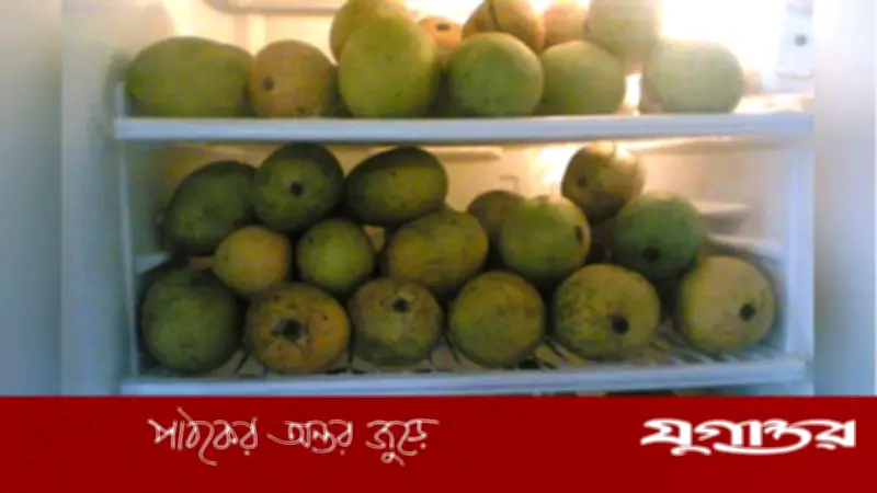 ফ্রিজে পাকা আম সংরক্ষণের সঠিক উপায় জেনে নিন