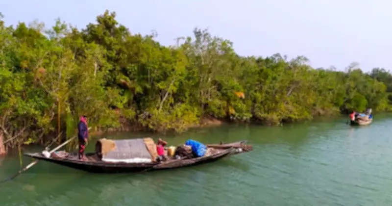 সুন্দরবনে তিন মাস প্রবেশ নিষিদ্ধ, বনজীবীদের সংকট