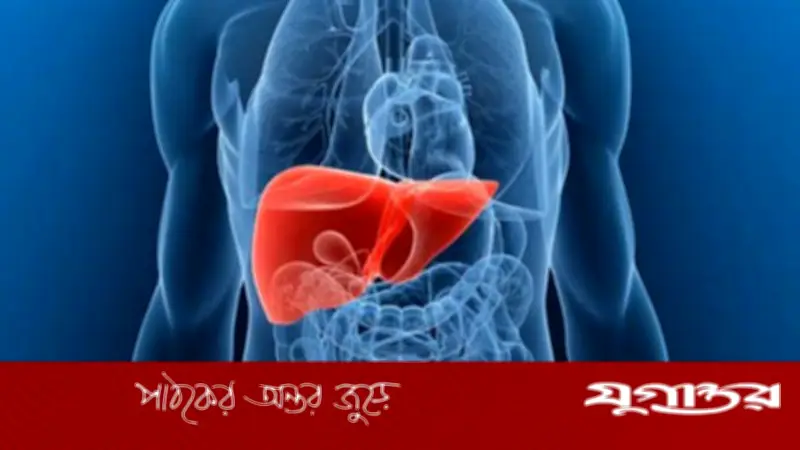 ঘুমের অভাবে বাড়ছে ফ্যাটি লিভার? গবেষণা কী বলছে