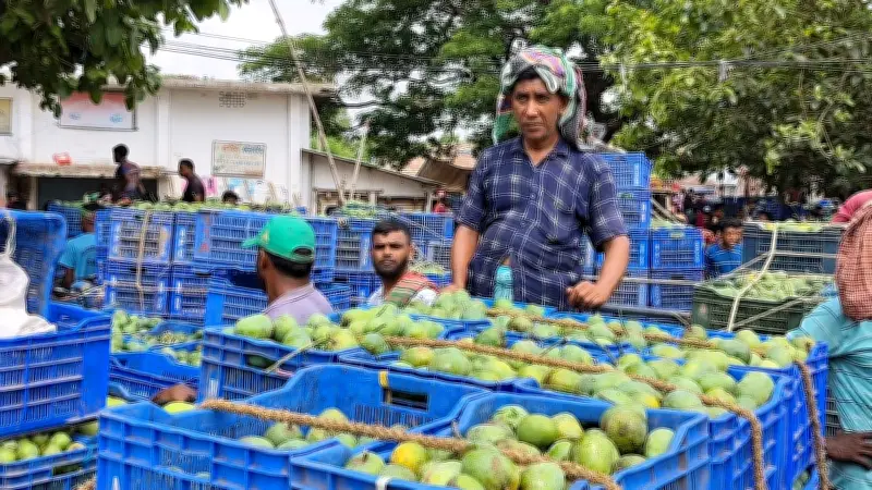 ঈদের পর রাজশাহীর বানেশ্বর হাটে আমের সরবরাহ বেড়েছে, কিন্তু ক্রেতা কম